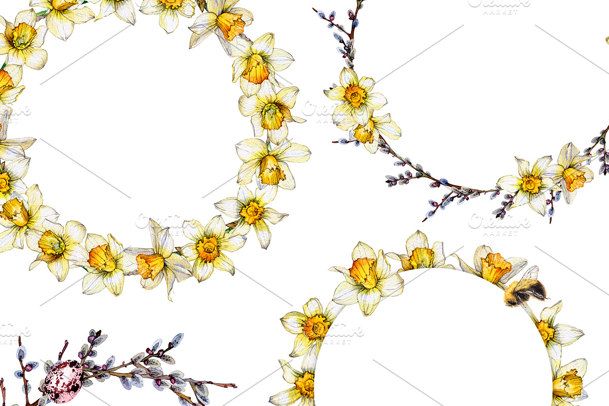 daffodil flower, an Illustration by OlyaSenko (Photo 5 of 7)