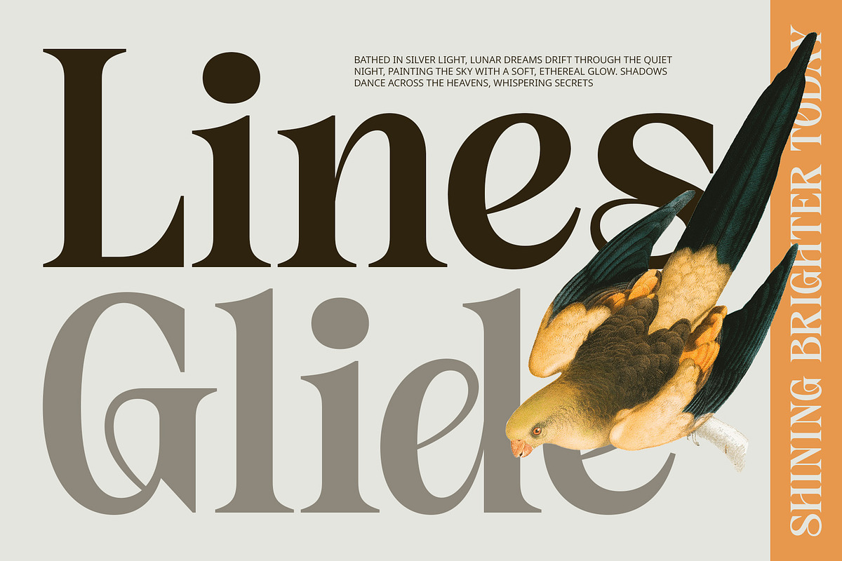 CS Siera – Art Nouveau Font, a Serif Font by Craft Supply Co. (Photo 3 of 8)