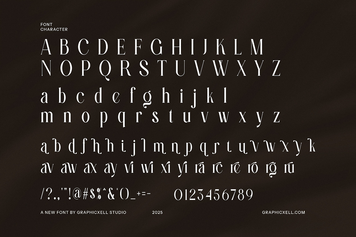Davish Elegant Serif Font, a Serif Font by Graphicxell (Photo 8 of 8)