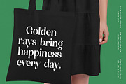 Mosbic Modern Luxury Serif, a Serif Font by timelesstype.co (Thumbnail 12 of 20)