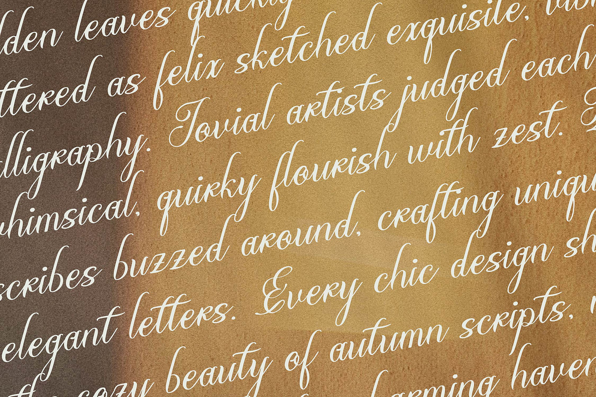 Olydemi | Beauty Script, a Script Font by Denustudios (Photo 9 of 13)
