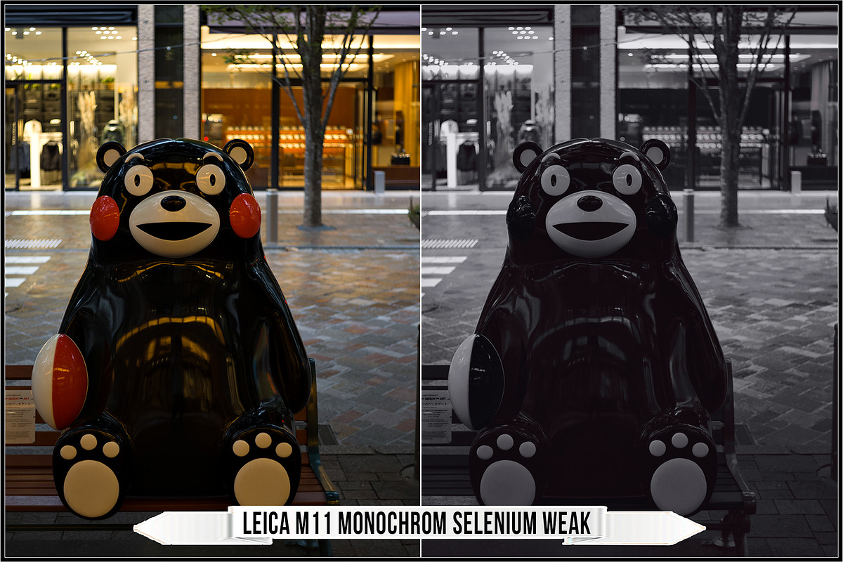 Leica Monochrom Profiles, a Plug-in Add-On by Raztrend (Photo 23 of 31)