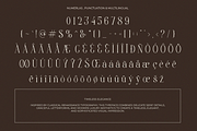 Elegant Serif Font - Clustery Royals, a Serif Font by Font Liner (Thumbnail 10 of 10)