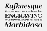 Blacker Pro - 69 fonts, a Serif Font by Zetafonts (Thumbnail 3 of 18)