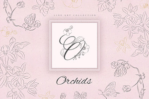 Orchids. Line Art Collection. Sale