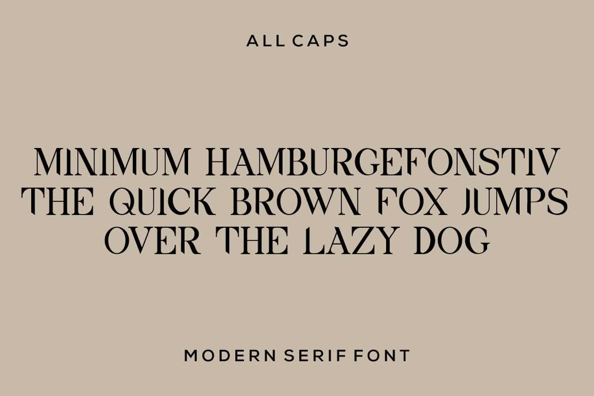 QIQAR modern serif font, a Serif Font by alanwarstd (Photo 3 of 5)