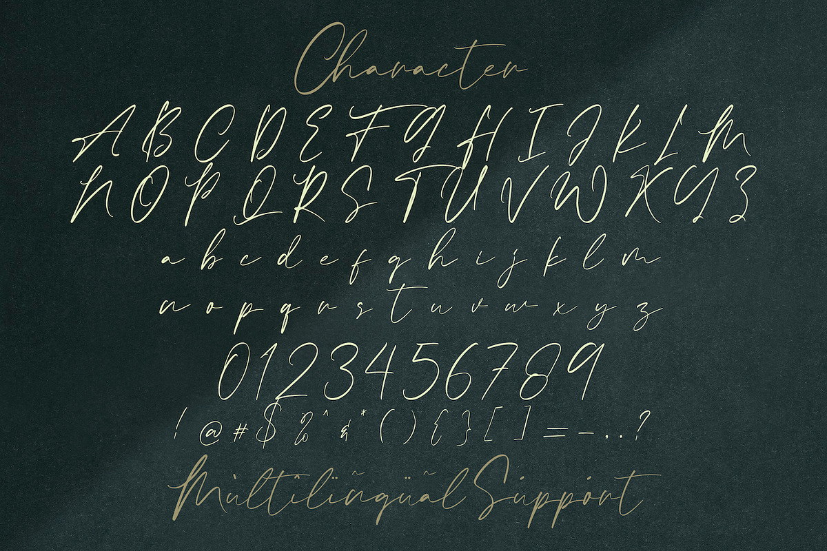 Calvin Fallen - Handwritten Font, a Script Font by StringLabs (Photo 9 of 9)