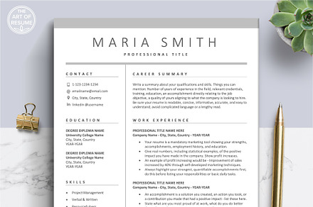 Executive Resume CV Template Formats