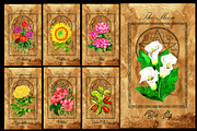Enchanted flowers tarot deck, a Decorative Illustration by Samiramay (Thumbnail 4 of 12)