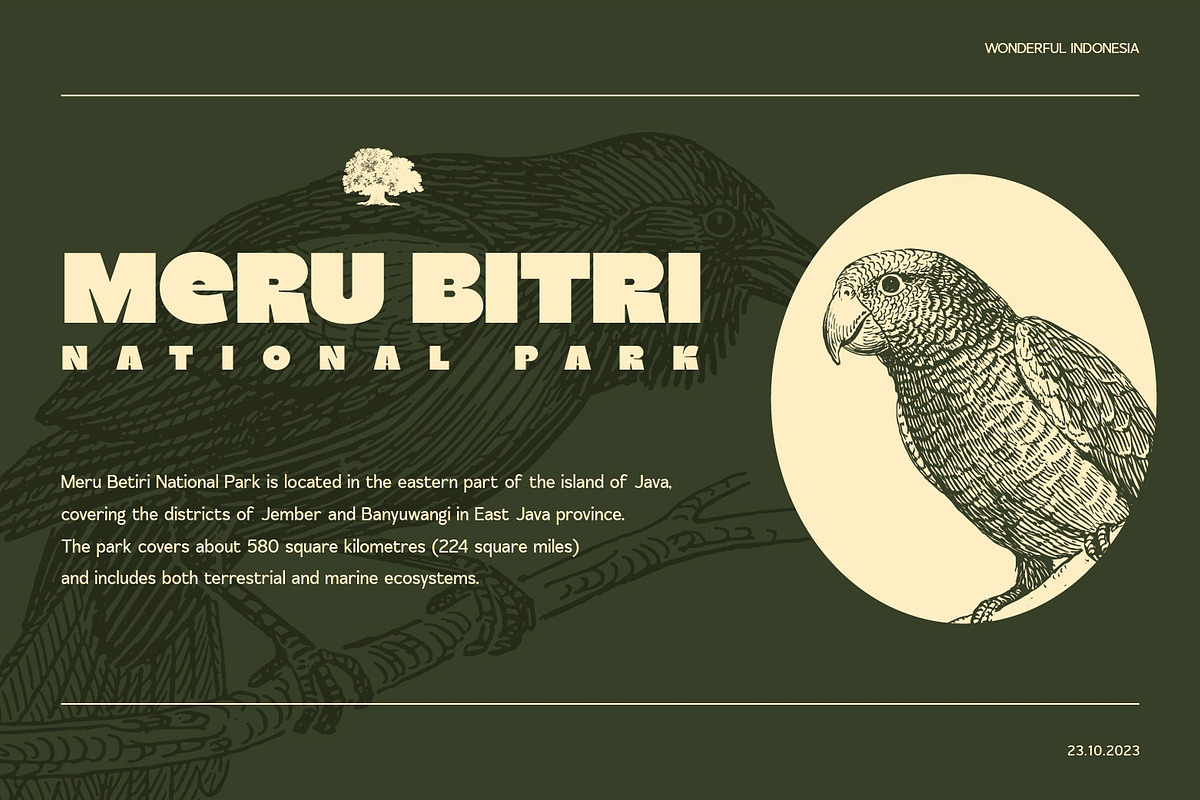 SS Kogaine - Bold Display Font, a Sans Serif Font by Typocracy Studio (Photo 5 of 12)