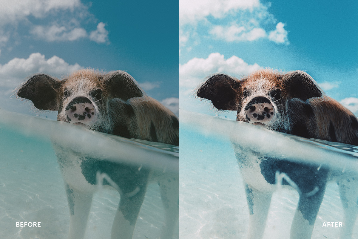 Lightroom Preset-Underwater Blue, a Preset Add-On by ariodsgn (Photo 7 of 7)