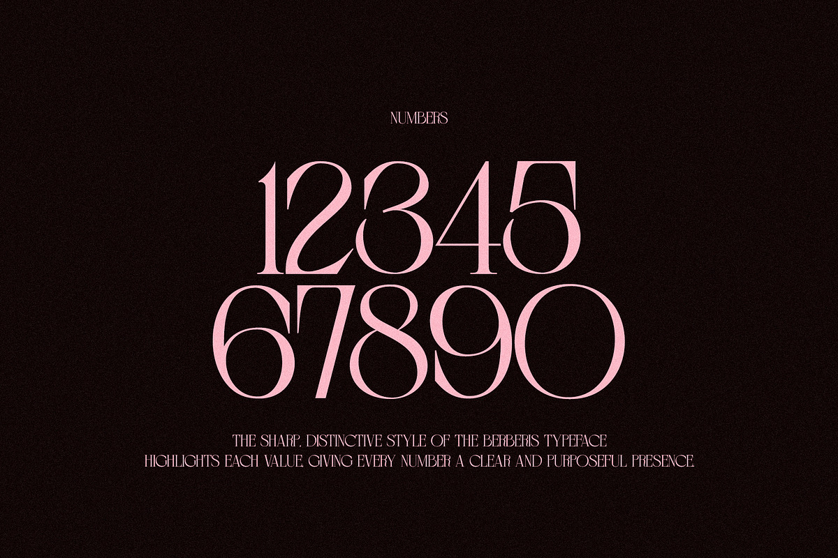 BERBERIS - Display Unique Serif, a Serif Font by Misha Sova (Photo 13 of 14)
