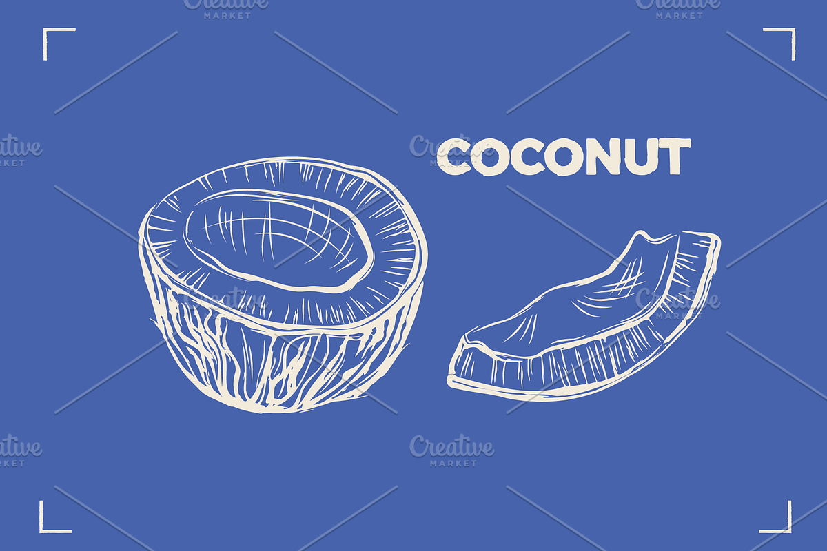 NUTS LINE ART SET (15+ elements), a Food Illustration by Bonfloret Studio (Photo 8 of 10)