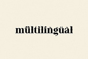 jasmine - elegant soft serif, a Serif Font by Mikhail Fukurou (Thumbnail 11 of 11)