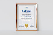 Professional Certificate Design, a Templates & Theme by rix_designs (Thumbnail 5 of 6)