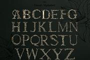 Natural Botanicals-Branding Kit, a Branding & Logo Template by Natalia Tugova (Thumbnail 2 of 10)