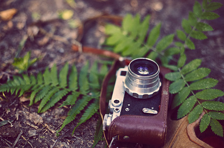 Vintage analog retro film camera in featuring camera, retro, and vintage