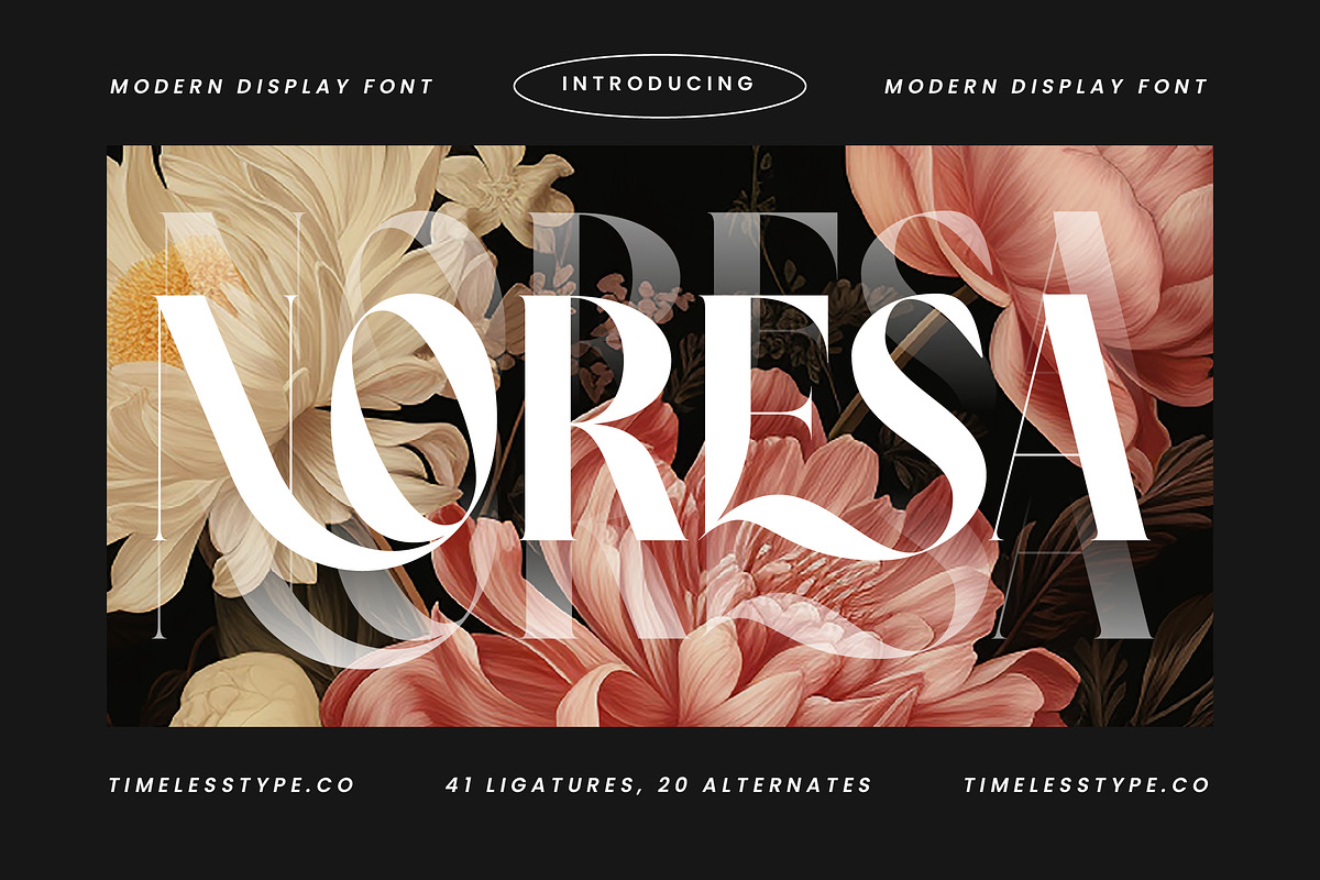 Noresa Modern Editorial Serif, a Serif Font by timelesstype.co (Photo 1 of 20)