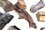 13 Tree Logs, an Environmental 3D Model by Beatheart Creative Studio (Thumbnail 37 of 37)