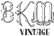 Victorian Alphabets PACK 19 FONTS !!, a Blackletter Font by Intellecta Design (Thumbnail 10 of 48)