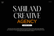 SALLINE — Modern Serif Typeface, a Serif Font by Alfinart (Thumbnail 5 of 7)