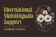 Soneburg; Display Serif Font, a Serif Font by Eko Bimantara (Thumbnail 8 of 10)