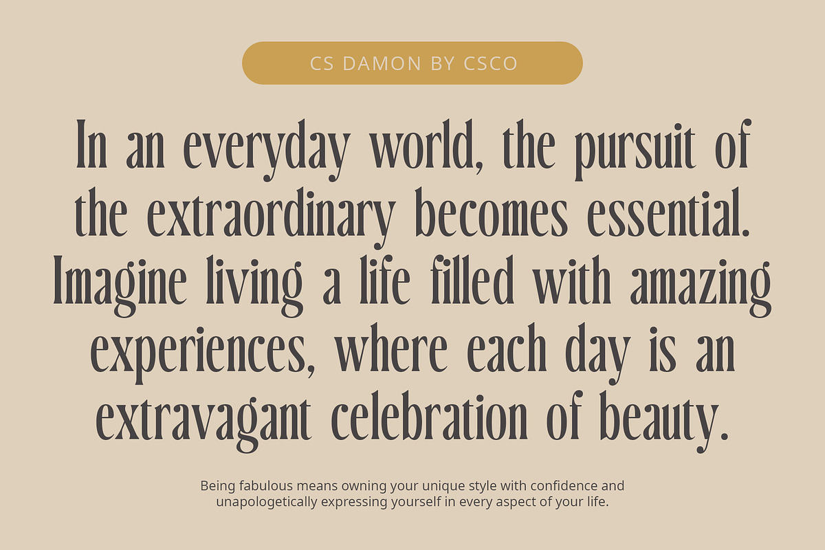 CS Damon – Condensed Font, a Serif Font by Craft Supply Co. (Photo 8 of 8)