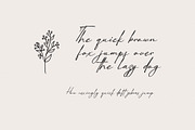Paris Hamilton Handwritten Font, a Handwritten Font by Elegant Font (Thumbnail 10 of 12)