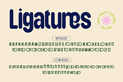 Majored Font Family, a Sans Serif Font by Burntilldead (Thumbnail 9 of 14)