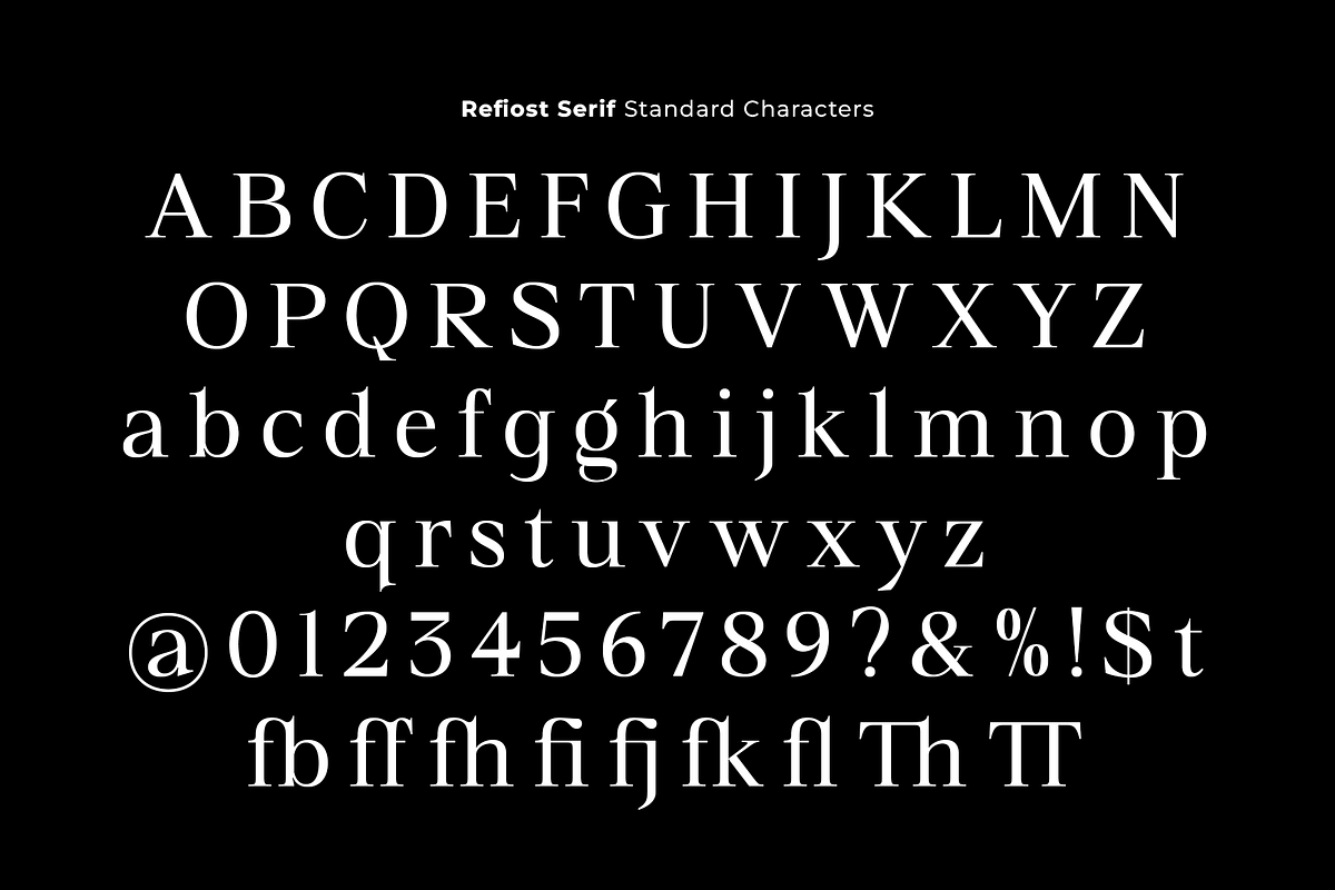 Refiost, a Serif Font by studiobasic (Photo 10 of 10)