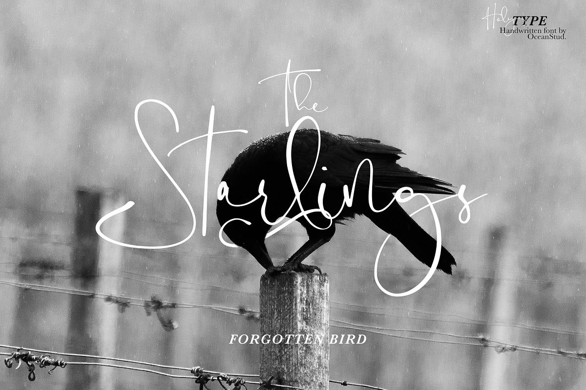 Holy Type | Handwritten Font, a Handwritten Font by Jolicia Type (Photo 3 of 9)