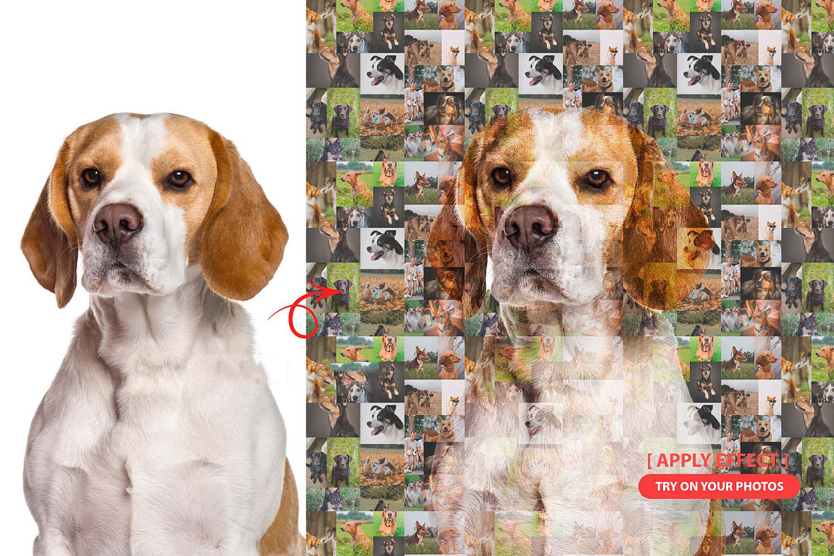 Mosaic Layout Builder PS Script, a Plug-in Add-On by MRI STUDIO (Photo 6 of 20)