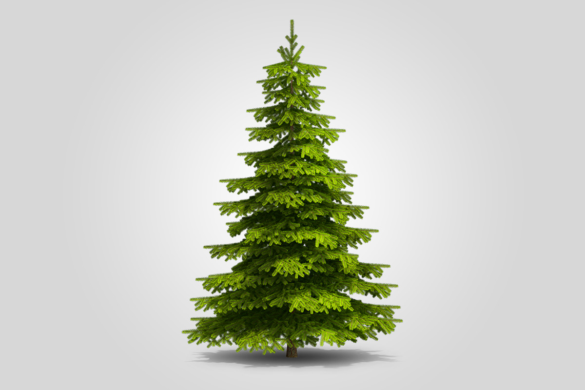 CUT OUT CHRISTMAS TREE, a Product Mockup by 3DSTORE (Photo 2 of 4)