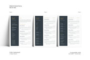 Standout Resume Template, a Resume Template by GraphicFlava (Thumbnail 3 of 7)