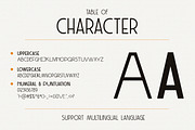 Candelize - Minimal Art Deco Font, a Sans Serif Font by Graphicfresh (Thumbnail 9 of 10)