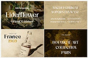 The Fashion Font Bundle (18 Fonts), a Serif Font by HipFonts (Thumbnail 13 of 18)