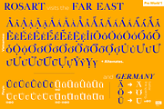 Rosart & Fleisch Hi Res ALL:10 FONTS, a Serif Font by California Type Foundry (Thumbnail 13 of 13)