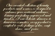 Mastery Elegant Script Font, a Script Font by Elegant Font (Thumbnail 2 of 8)