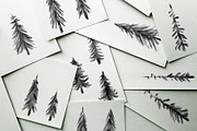 Rustic Painted Trees, an Illustration by Build Interactive (Thumbnail 3 of 7)
