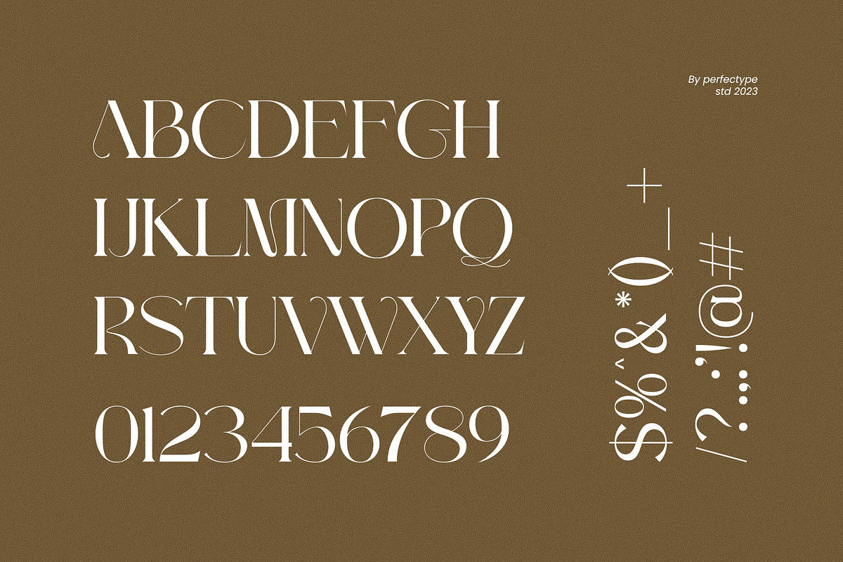 Maqer Elegant Serif Font Typeface, a Serif Font by Perfectype (Photo 7 of 7)
