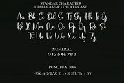 Background, a Script Font by FreshTypeINK (Thumbnail 3 of 8)