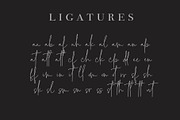 Better Signature ( 70% off ), a Script Font by Paul Hewitt (Thumbnail 7 of 7)