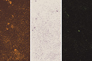 Rough pier texture pack, a Texture Graphic by The Shop (Thumbnail 28 of 38)