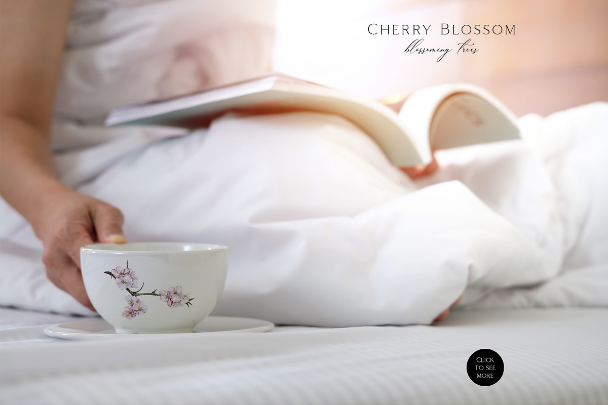 Cherry Blossom Watercolor, a Decorative Illustration by Olga Koelsch (Photo 6 of 9)