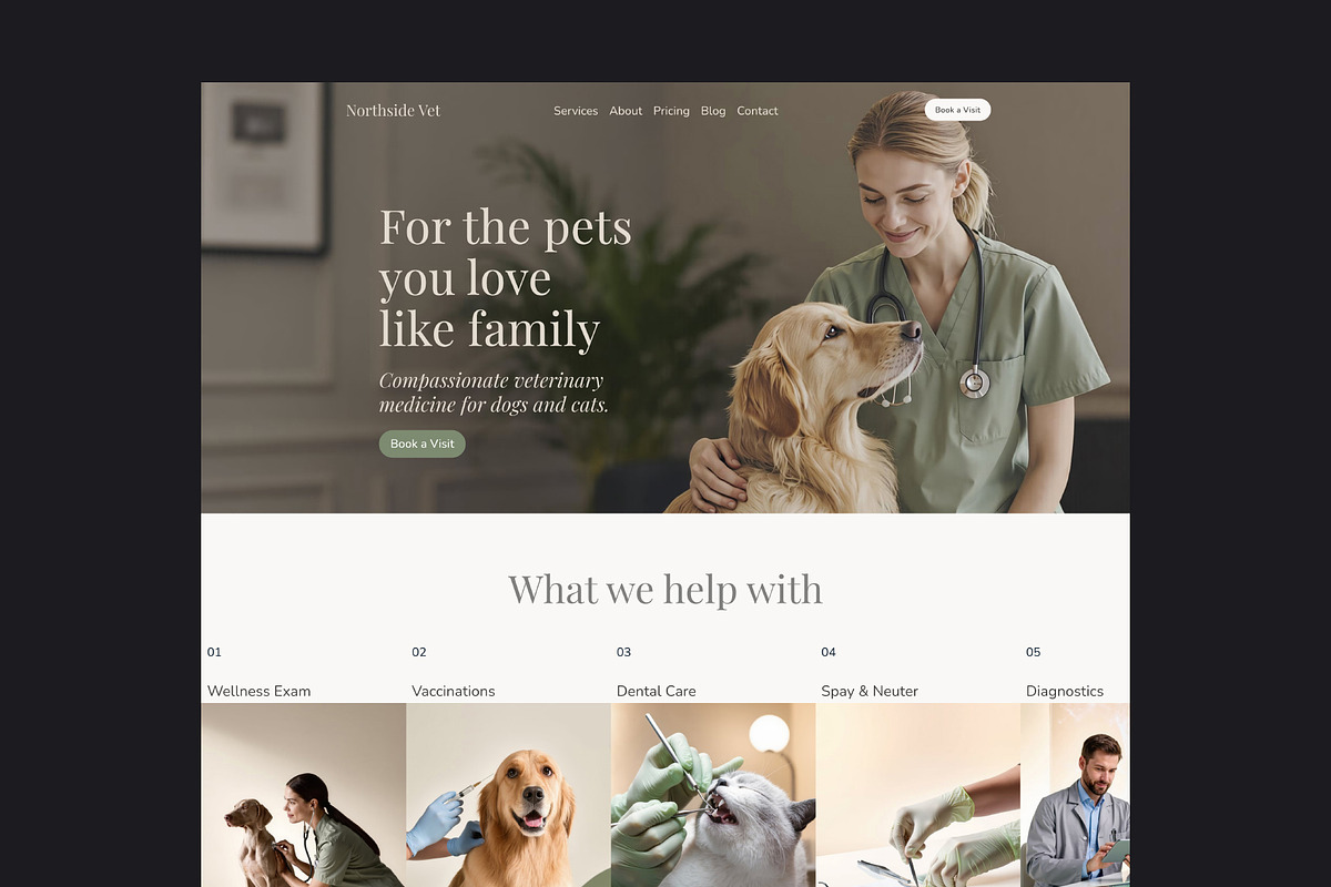 Veterinary Clinic Framer Template, a Landing Page Template by vatesdesign (Photo 1 of 3)