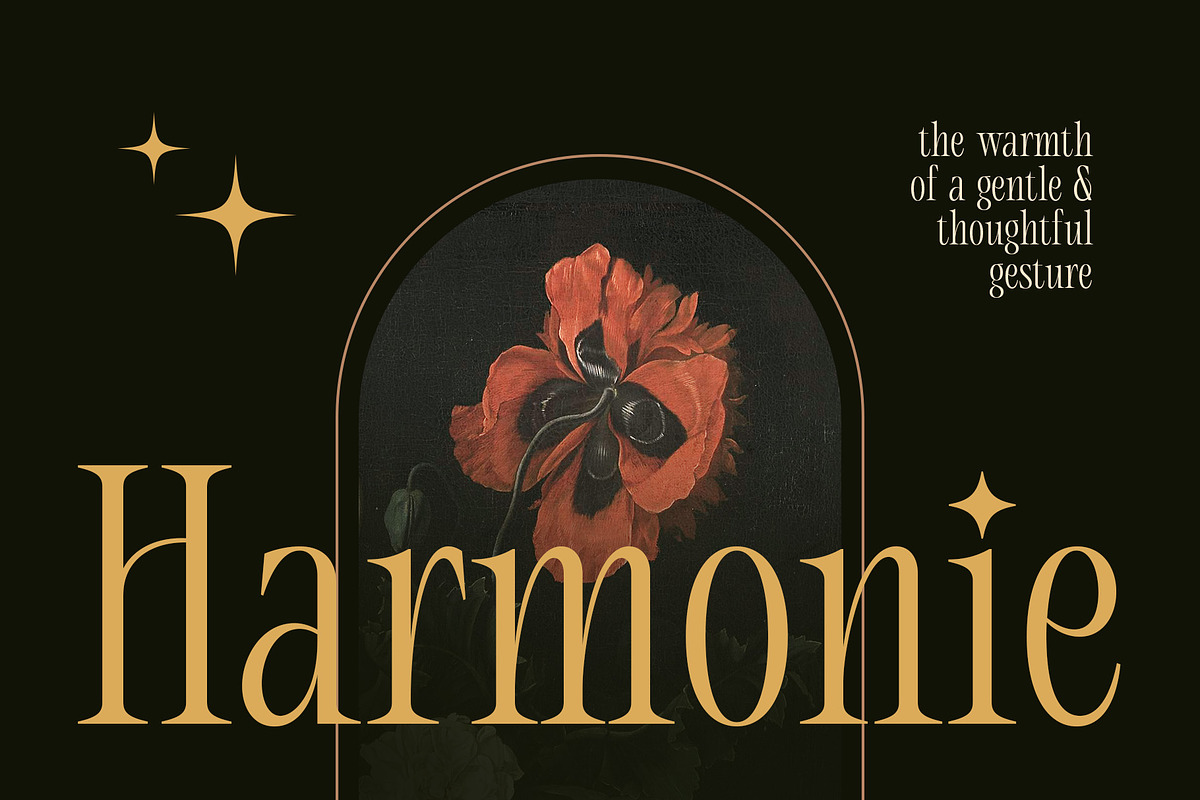CS Akira – Stylish Font, a Serif Font by Craft Supply Co. (Photo 2 of 7)