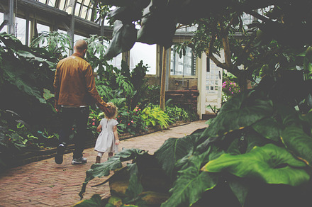 Walk in the Conservatory