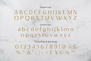 Bustellina | Elegant Sans Serif, a Serif Font by Graphue (Thumbnail 3 of 9)