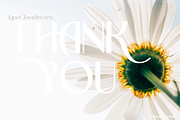 Bakson Marinel - Modern Display Sans, a Sans Serif Font by TypeClassHeroes (Thumbnail 13 of 15)