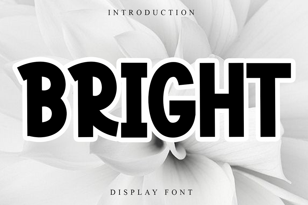 Bright, a Script Font by FreshTypeINK (Photo 1 of 6)